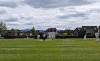 Castle Avenue Cricket Ground Dublin