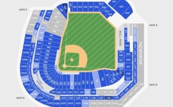 Target Field