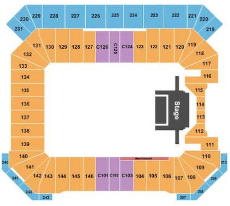 Protective Stadium Concert Seating Plan
